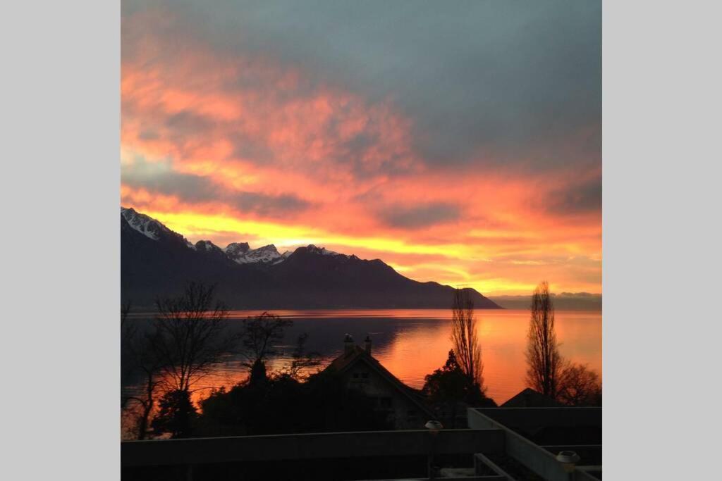 Studio Vue Panoramique Sur Le Lac Leman Veytaux Luaran gambar